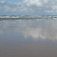 Filosofische workshop 'Ken onszelve'