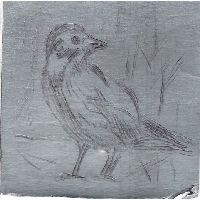 Workshop Tetra-pak etsen