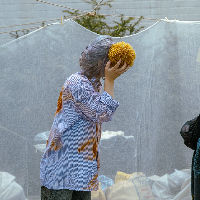 Performance: Beyond Words We Become