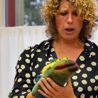 Muzisch Meesterschap - De kunst van onderwijs