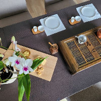 Tea Journey: An immensive Chinese Tea Experience