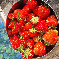 Bieb Café Sneek 25-03-2026 10:15