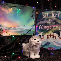 Voorlezen en knutselen in noorderlichtsfeer