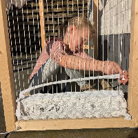 Workshop: Thuis in het Textielhuis