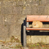 Filosofisch Café 05-06-2026 19:30