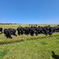 Themacaf: Het boerenleven in Eemnes