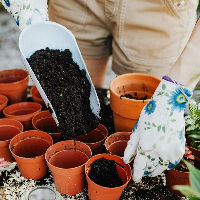 Groei & Bloei: Zaaidemonstratie