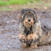 Woensdagactiviteiten voor kinderen 07-01-2026 14:00
