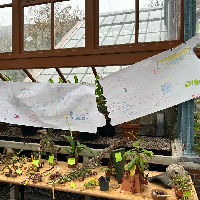 Straatgedichtentour mét workshop (8+)