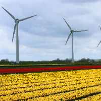 Bieb Café Sneek 27-05-2026 10:15