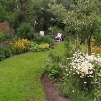 Lezing Groei & Bloei: Natuurlijk tuinieren met planten en dieren
