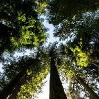 Lecture : The Human Footprint and the Path to Coexistence with Biodiversity