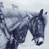 Expositie 'Kracht' en 'Grijs verleden' van Wout Kole