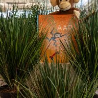 Vakantie voorlezen en knutselen 24-02-2026 15:00