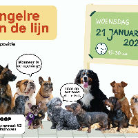 Foto-expositie Tongelre aan de Lijn