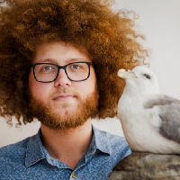 Katteks Kampioenskop Maeuwe Skraeuwe - Skraeuw het uit!