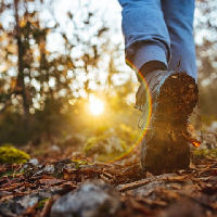 Praktisch in de Wijk 28-03-2026 10:00