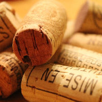 MakerLab: maak een tasje van kurk (10+) (2-delig)