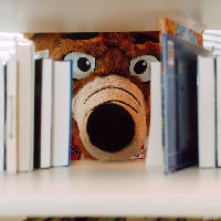 Foxy in de bibliotheek