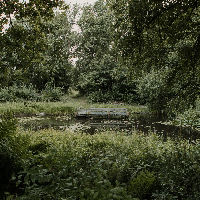 Workshop Natuurfotografie