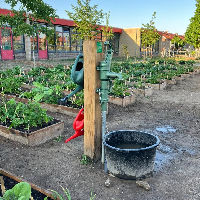Lezing: Buurttuinen oftewel Community Gardens