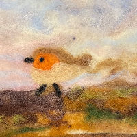 Dag & Dauw 17-02-2026 10:00