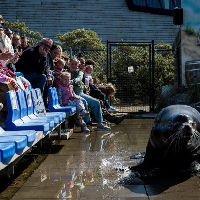 Informatiemarkt Wereldkankerdag: Met elkaar, voor elkaar