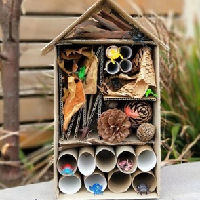 Workshop Eco Engineers: Design a Bug Hotel