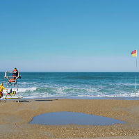 BiebLab Monster: Strandschatten