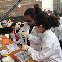 Wetenschap Laboratorium: De Chemie van Geld (vanaf 8 jaar)