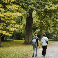 Wandel je Fit (8 sessies)