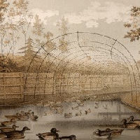 Lezing Eendenkooien in de omgeving van Bergambacht