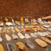 Expositie stenen, fossielen & artefacten