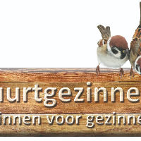 GroeiMee: Opvoeden Doen Wij Samen - Informatie Avond met Buurtgezinnen & Pleegzorg en meer