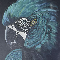 Opening nieuwe expositie