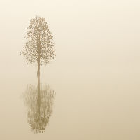 Parkstad in Gesprek | Zoeken naar stilte