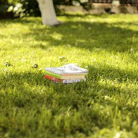 Workshop Mindfulness