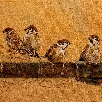 Expositie Schilderclub Stervoorde