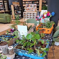 Groene Ruilmarkt voor planten, stekjes en zaden