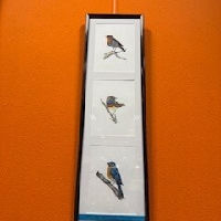 Expositie: Vier kunstenaars, één inspirerende verzameling