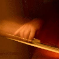 Cursus fotografie: Een pakkende foto maken, hoe doe je dat?