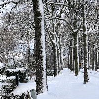 Schrijfcafé Culemborg