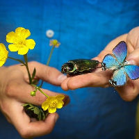 En toen was er kleur-IVN