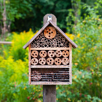 Insectenhotel maken
