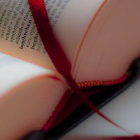 De veranderende Nederlandse taal