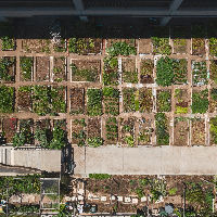 Venlo Lecture : Food and the City: Building Fairer, More Sustainable Urban Food Systems by Madhura Rao