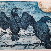 Expositie: Natuurlijk!