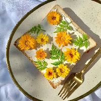 BiebLab - Voorjaars kook workshop