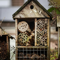 BiebLab - Insectenhotel maken