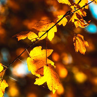 Nadenken over de toekomst